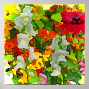 Affiches Couleurs gaies de jardin