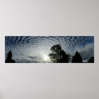 Affiches Counting sheep