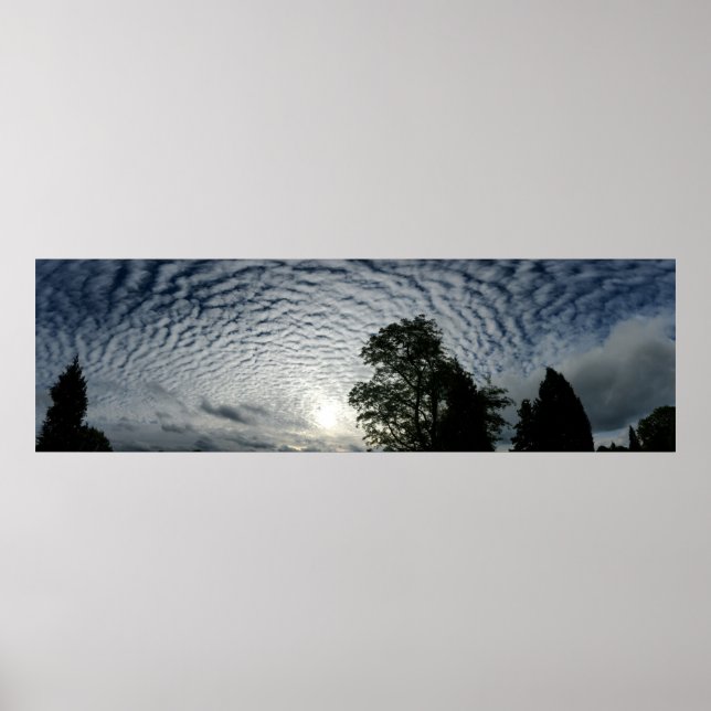 Affiches Counting sheep (Devant)