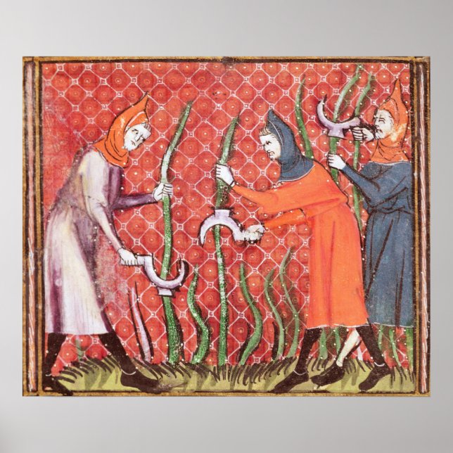 Affiches Couper les arbres, de Ovide Moralize (Devant)