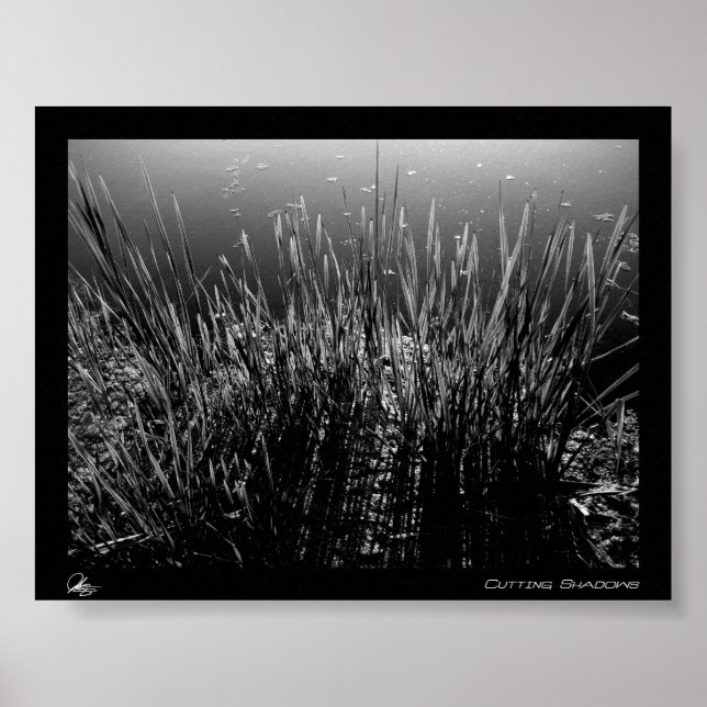 Affiches Couper les ombres (Devant)