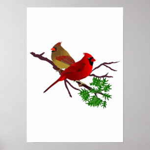 Affiches Couple cardinal sur une branche