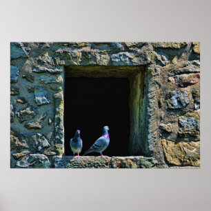 Affiches Couple de pigeons dans la fenêtre du château