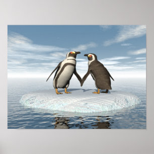 Affiches couple de pingouins