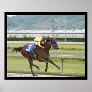 Affiches Course à cheval