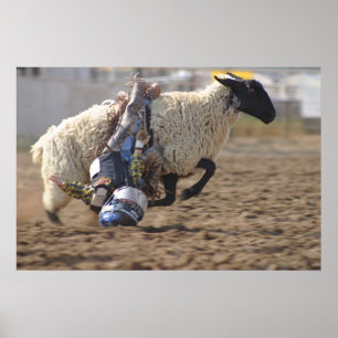 Affiches Course folle