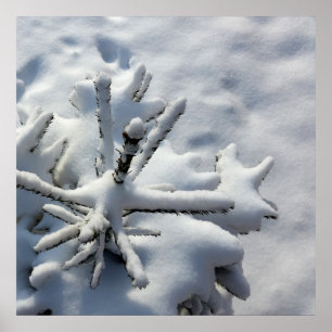 Affiches Couverture de neige