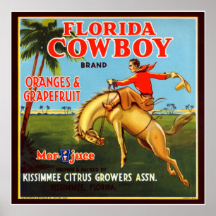 Affiches Cow-boy de Floride
