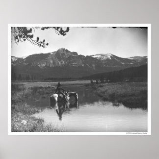 Affiches Cowboy et cheval dans un étang