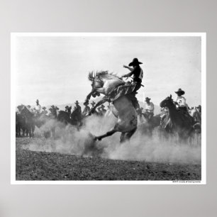 Affiches Cowboy sur cheval sauvage s'opposant