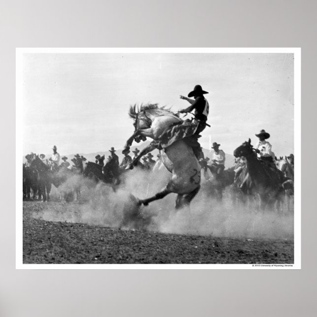 Affiches Cowboy sur un bronco cinglé (Devant)