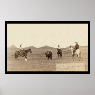 Affiches Cowboys Roping A Buffalo SD 1887