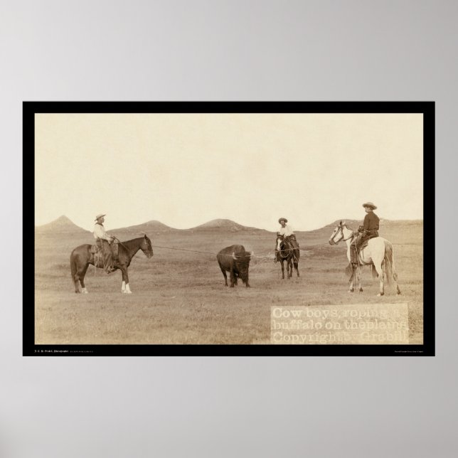 Affiches Cowboys Roping A Buffalo SD 1887 (Devant)