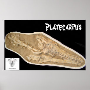 Affiches Crâne de Mosasaur dans Matrix