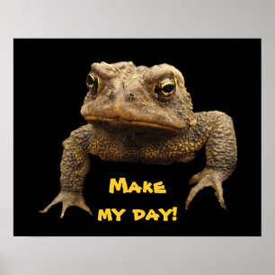 Affiches Crapaud américain