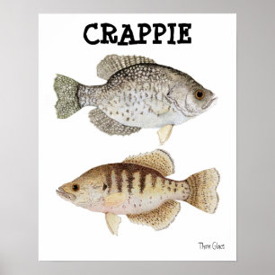 Affiches Crappie