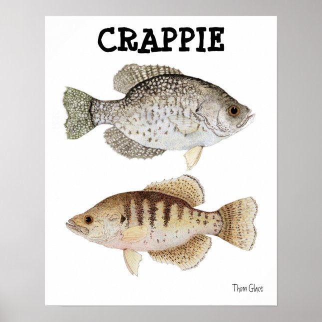Affiches Crappie (Devant)