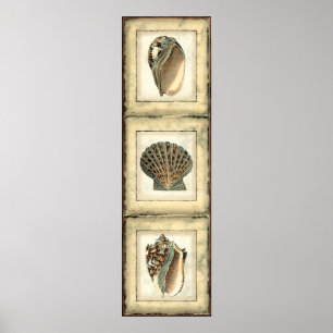 Affiches Créatures de mer par le rivage