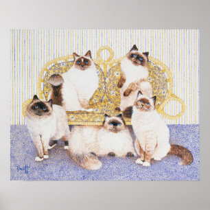 Affiches Crèmes au chocolat