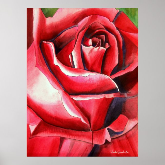 Affiches Crimson Rose rouge original aquarelle peinture (Devant)