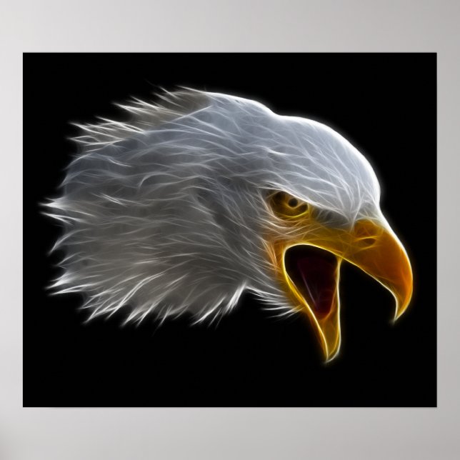 Affiches Cris American Bald Eagle Head (Devant)