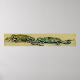 Affiches Crocodile
