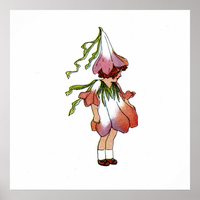 Affiches Crocus (Devant)