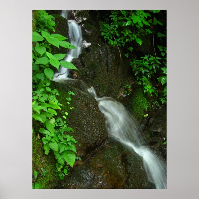 Affiches Croissance graduelle (Devant)