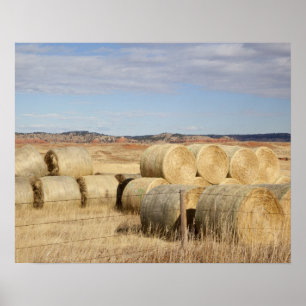 Affiches Crook County, Hay Bales