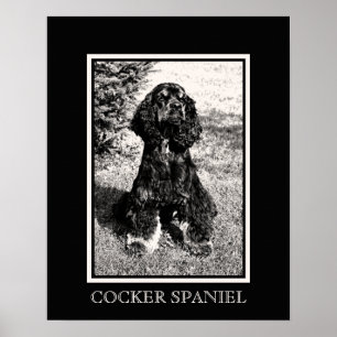 Affiches Croquis Cocker Spaniel