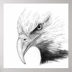 AFFICHES CROQUIS D'EAGLE