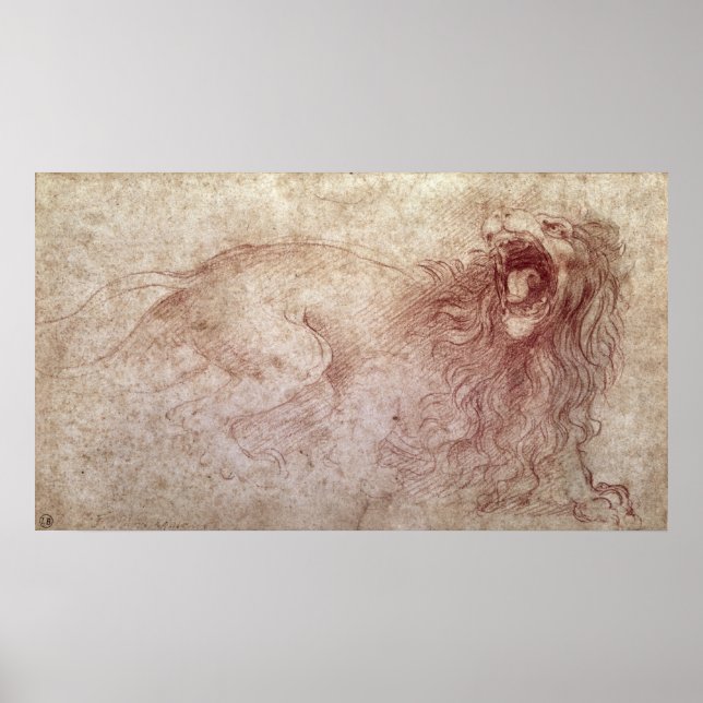 Affiches Croquis d'un lion rugissant (Devant)