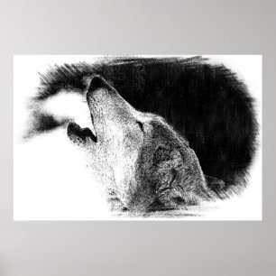 Affiches Croquis noir et blanc Loup gris