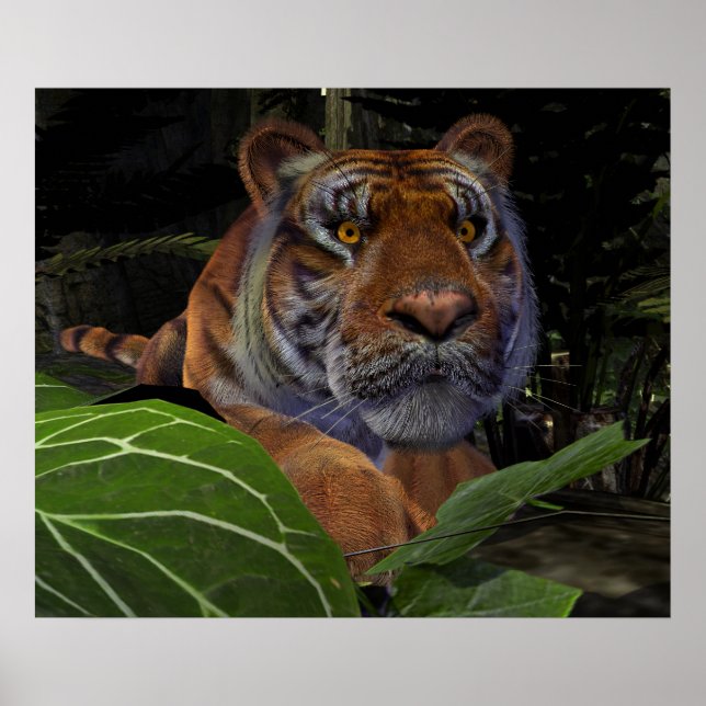 Affiches Crouching des tigres dans la jungle (Devant)