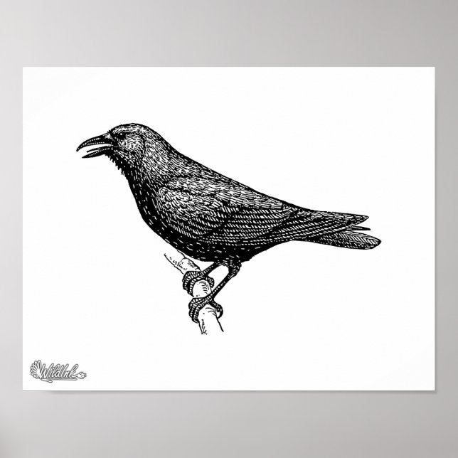 Affiches Crow Bird Art (Devant)