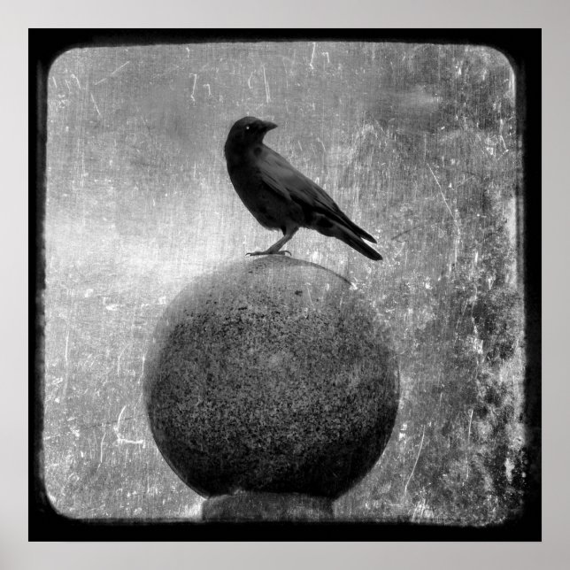 Affiches Crow magique (Devant)