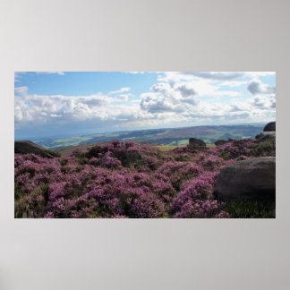 Affiches Cuir rose et ciel bleu