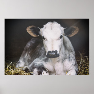 Affiches Culture occupée de jour