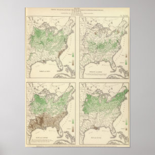 Affiches Cultures, lithographie statistique des USA