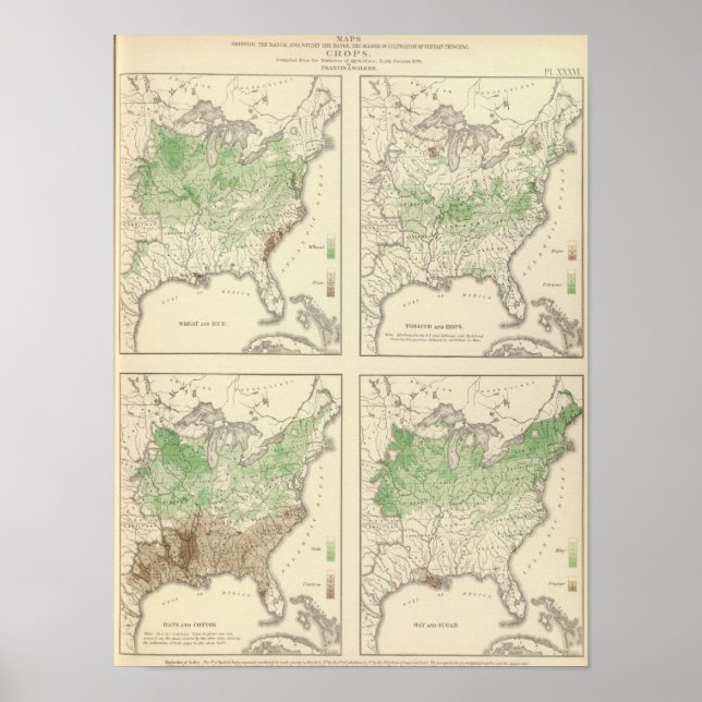Affiches Cultures, statistique US Lithographe (Devant)