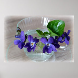 Affiches cup of violets