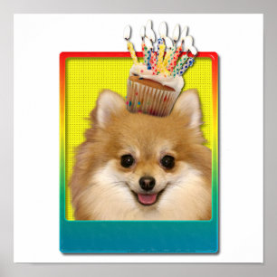 Affiches Cupcake d'anniversaire - Pomeranian