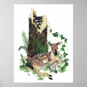 Affiches Cute Baby Whitetail Deer Fawn et Raccoon Imprimer