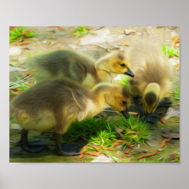 Affiches Cute Gosling (Devant)