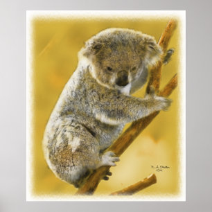 Affiches Cute...Koala Bear...Poster et imprimer!