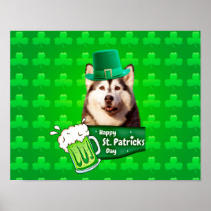 Affiches Cute Siberian Husky Chien Casquette St. Patrick's