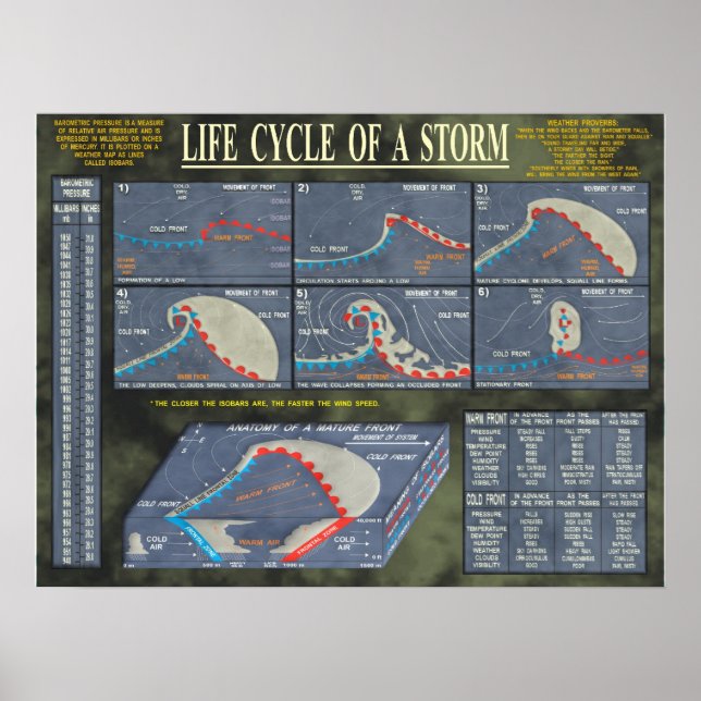 Affiches Cycle de vie d'une tempête (Devant)