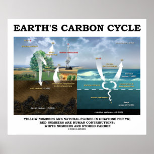 Affiches Cycle du carbone terrestre (Science de la Terre)