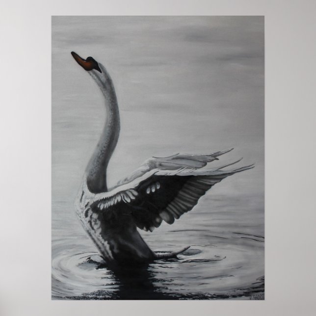 Affiches Cygne (côté droit) (Devant)