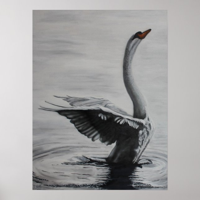 Affiches Cygne (côté gauche) (Devant)